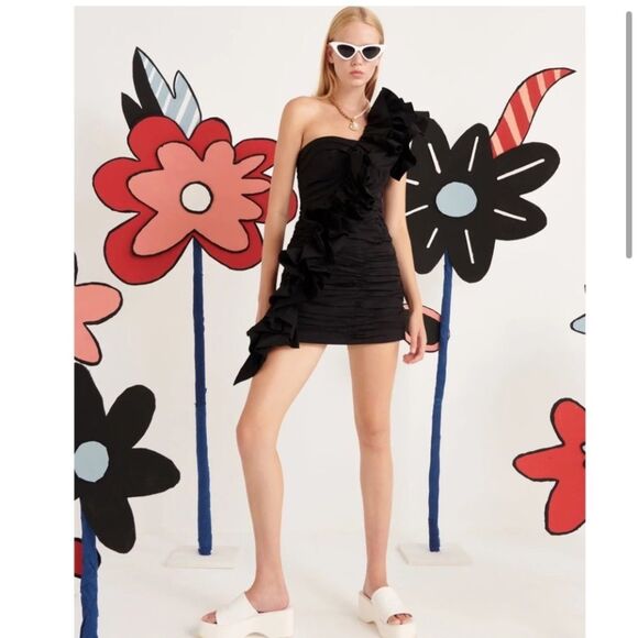 NWT Anthropologie CeliaB BALTIC ONE-SHOULDER PLEATED RUFFLED MINI DRESS - Picture 3 of 9